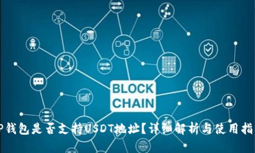 TP钱包是否支持USDT地址？详细解析与使用指南